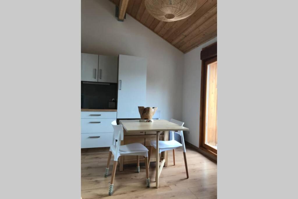 Magnifique Appartement A La Joue Du Loup Saint-Étienne-en-Dévoluy Εξωτερικό φωτογραφία